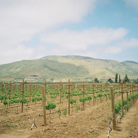 Alma Liebre Vinedos Del Valle バジェ・デ・グアダルーペ エクステリア 写真