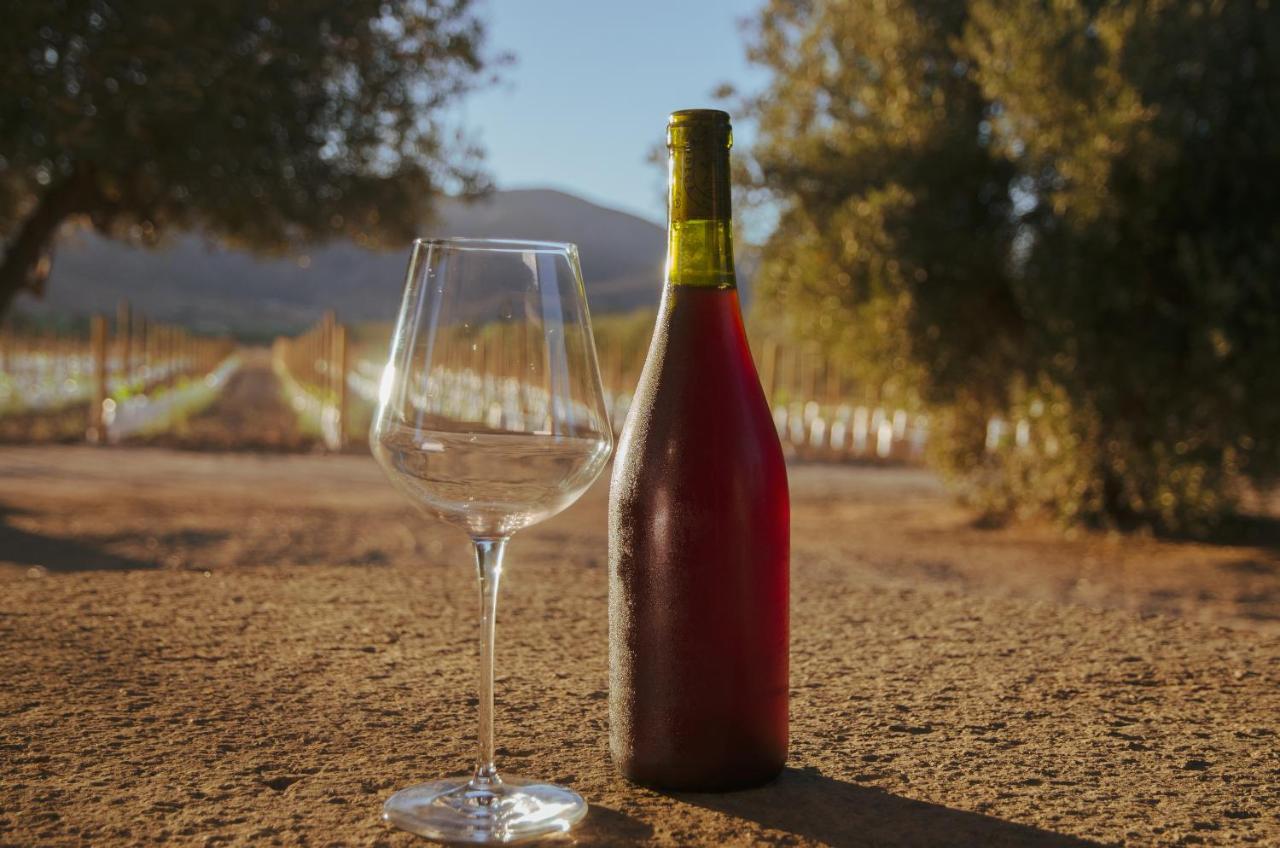 Alma Liebre Vinedos Del Valle バジェ・デ・グアダルーペ エクステリア 写真
