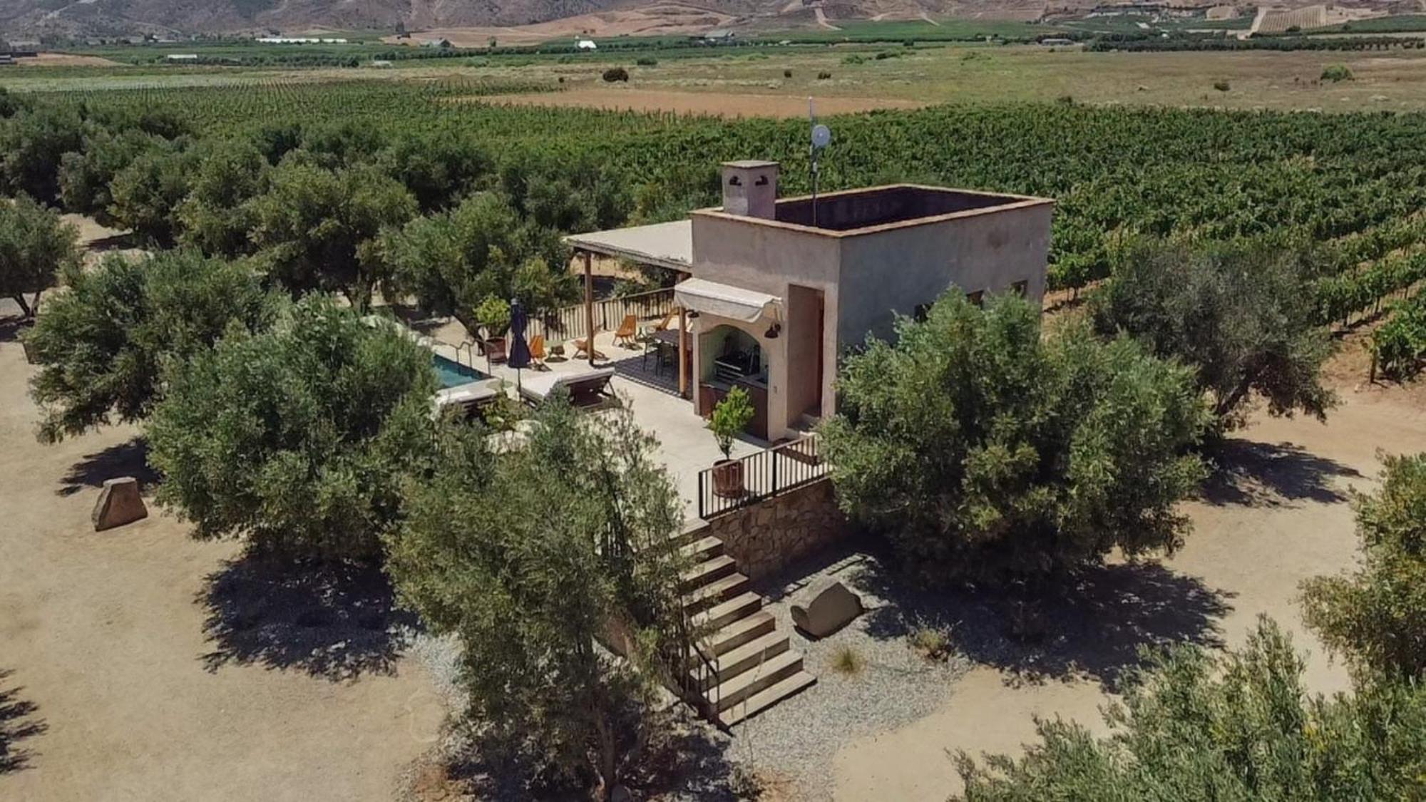 Alma Liebre Vinedos Del Valle バジェ・デ・グアダルーペ エクステリア 写真