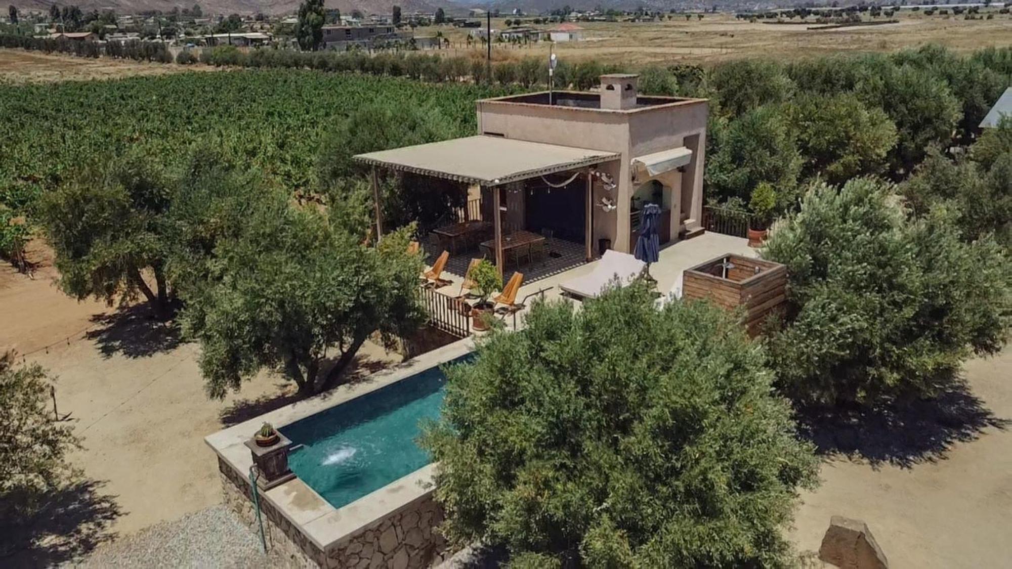 Alma Liebre Vinedos Del Valle バジェ・デ・グアダルーペ エクステリア 写真